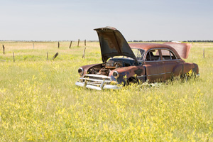 Rusted Car In Field